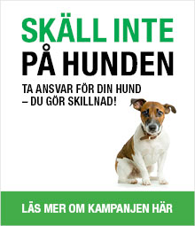 skk-mellan-puff