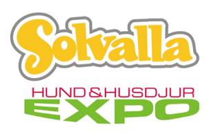 solvalla_hund