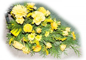 blomma
