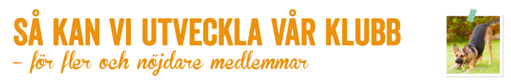 Skärmavbild 2015-11-02 kl. 23.36.12