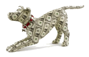 pengarhund
