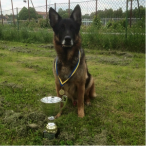 dm_patrullhund_2016