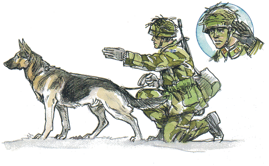 Patrullhund