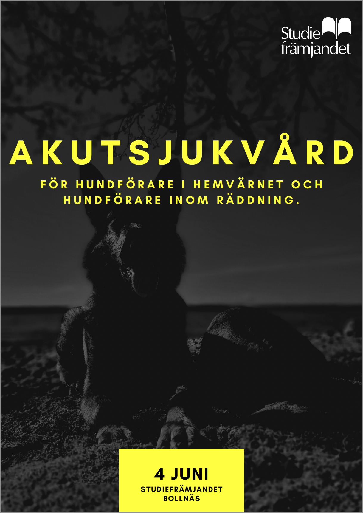 Information om Akutsjukvård Hund